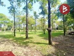 ขายที่ดินพร้อมสิ่งปลูกสร้าง เนื้อที่ 4 ไร่ 3 งาน 78 ตร.วา ดอนตูม นครปฐม-202511301101321764475292312.jpg