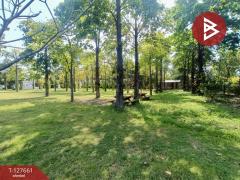 ขายที่ดินพร้อมสิ่งปลูกสร้าง เนื้อที่ 4 ไร่ 3 งาน 78 ตร.วา ดอนตูม นครปฐม-202511301101321764475292939.jpg