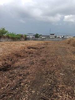 ขายที่ดินเปล่า ขนาด200ตรว เหมาะทำโกดังหรือบ้าน ซอยบางกระดี่25 ถนนพระราม2 บางขุนเทียน กรุงเทพ.-202511301410231764486623684.jpg