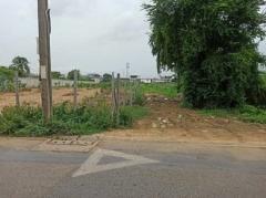 ขายที่ดินเปล่า ขนาด200ตรว เหมาะทำโกดังหรือบ้าน ซอยบางกระดี่25 ถนนพระราม2 บางขุนเทียน กรุงเทพ.-202511301410251764486625224.jpg