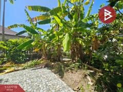 ขายบ้านเดี่ยว หมู่บ้านแพนนาเซียวิลล์ (Panacea Ville) ชลบุรี-202511301413491764486829771.jpg