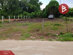 ขายที่ดิน-เนื้อที่-1-งาน-29.3-ตร.วา-เพ-ระย