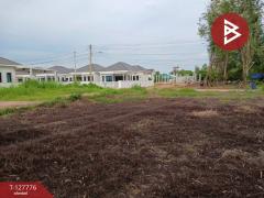 ขายที่ดิน เนื้อที่ 1 งาน 29.3 ตร.วา เพ ระยอง-202511301435561764488156560.jpg