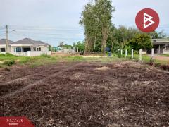 ขายที่ดิน เนื้อที่ 1 งาน 29.3 ตร.วา เพ ระยอง-202511301435581764488158192.jpg