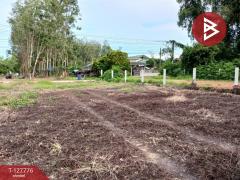 ขายที่ดิน เนื้อที่ 1 งาน 29.3 ตร.วา เพ ระยอง-202511301435581764488158742.jpg