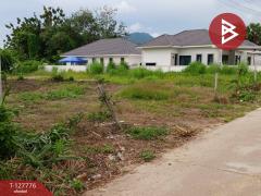 ขายที่ดิน เนื้อที่ 1 งาน 29.3 ตร.วา เพ ระยอง-202511301435591764488159288.jpg