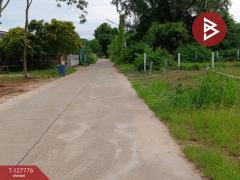 ขายที่ดิน เนื้อที่ 1 งาน 29.3 ตร.วา เพ ระยอง-202511301435591764488159833.jpg