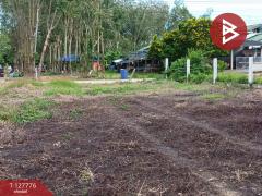 ขายที่ดิน เนื้อที่ 1 งาน 29.3 ตร.วา เพ ระยอง-202511301436001764488160368.jpg