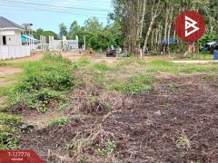 ขายที่ดิน เนื้อที่ 1 งาน 29.3 ตร.วา เพ ระยอง-202511301436001764488160911.jpg