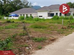 ขายที่ดิน เนื้อที่ 1 งาน 29.3 ตร.วา เพ ระยอง-202511301436011764488161487.jpg