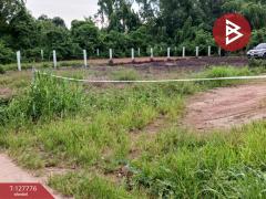 ขายที่ดิน เนื้อที่ 1 งาน 29.3 ตร.วา เพ ระยอง-202511301436021764488162031.jpg