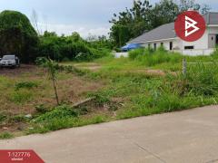 ขายที่ดิน เนื้อที่ 1 งาน 29.3 ตร.วา เพ ระยอง-202511301436021764488162575.jpg