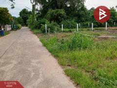 ขายที่ดิน เนื้อที่ 1 งาน 29.3 ตร.วา เพ ระยอง-202511301436031764488163117.jpg