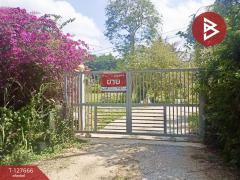 ขายที่ดินพร้อมสิ่งปลูกสร้าง-เนื้อท