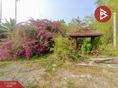 ขายที่ดินพร้อมสิ่งปลูกสร้าง เนื้อที่ 10 ไร่ 2 งาน 66 ตร.วา แกลง ระยอง-202511301554471764492887379.jpg