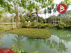 ขายที่ดินพร้อมสิ่งปลูกสร้าง เนื้อที่ 10 ไร่ 2 งาน 66 ตร.วา แกลง ระยอง-202511301554481764492888832.jpg