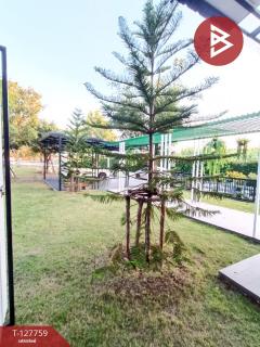 ขายบ้านเดี่ยวพร้อมที่ดิน เนื้อที่ 2 งาน 17 ตร.วา บ้านยาง นครปฐม-202511301604191764493459876.jpg