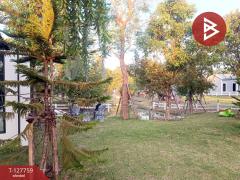 ขายบ้านเดี่ยวพร้อมที่ดิน เนื้อที่ 2 งาน 17 ตร.วา บ้านยาง นครปฐม-202511301604201764493460413.jpg