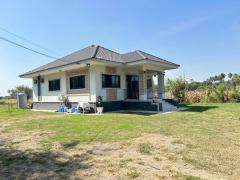 ขายบ้านเดี่ยวชั้นเดียวพร้อมที่ดิน ขนาด 1 ไร่ อำเภอสูงเนิน จังหวัดนครราชสีมา