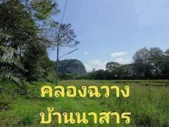 ขายที่ดินเปล่าใกล้ริมคลองฉวาง อำเภอบ้านนาสาร สุราษฎร์ธานี