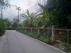 ขายที่ดิน 451ตรว. 10ลบ. มีรั้วรอบ ถนน น้ำประปา ไฟฟ้า เยื้องปั๊ม ปตท.ถนนต้นยาง ต.หนองผึ้ง อ.สารภี เชียงใหม่