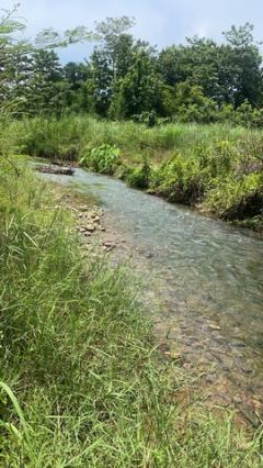 หาซื้อทรัพย์คุ้มใช้ประโยชน์ ขายที่ดินติดลำธารน้ำใสไหลริน ชุ่มฉ่ำตลอดปี สวยวิวล้าน 800000บาท 3-0-35ไร่ อำเภอสันติสุข น่าน