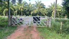 หาซื้อทรัพย์คุ้มใช้ประโยชน์  ขายที่ดินใกล้หาดบางเบิด ติดถนนทางหลวง ใกล้หาด1 กม. +ขนาดที่ดิน 50-1-18 ไร่ โฉนดครุฑแดง พร้อมโอน ไร่ล่ะ 8 แสน