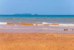 หาซื้อทรัพย์คุ้มใช้ประโยชน์ ที่ติดทะเล ฝั่งแดง ขายราคาไร่ล่ะ 3.5 ล้านบาท โฉนดครุฑแดง พร้อมโอน