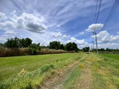 ขายที่ดินเปล่าหนองจอก ถ.ประชาสำราญ (ซอยร่วมพัฒนา) **เพียง 4,500/ตารางวา** (N.1717)