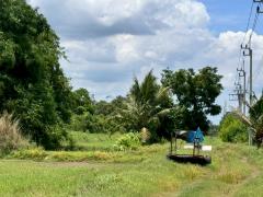 ขายที่ดินเปล่าหนองจอก ถ.ประชาสำราญ (ซอยร่วมพัฒนา) **เพียง 4,500/ตารางวา** (N.1717)-202512011000511764558051586.jpg