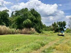 ขายที่ดินเปล่าหนองจอก ถ.ประชาสำราญ (ซอยร่วมพัฒนา) **เพียง 4,500/ตารางวา** (N.1717)-202512011000531764558053503.jpg