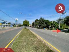 ขายที่ดินแปลงสวย เนื้อที่ 1 ไร่ 6.5 ตารางวา อ.บ้านไผ่ จ.ขอนแก่น แหล่งชุมชนหนาแน่น-202512011024441764559484278.jpg