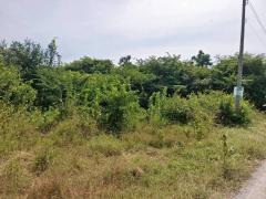 ขายที่ดินเปล่า 100 ตารางวา ตำบลหินเหล็กไฟ อำเภอหัวหิน จังหวัดประจวบคีรีขันธ์ โฉนดครุฑแดง พร้อมโอนทันที