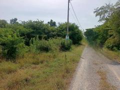 ขายที่ดินเปล่า 100 ตารางวา ตำบลหินเหล็กไฟ อำเภอหัวหิน จังหวัดประจวบคีรีขันธ์ โฉนดครุฑแดง พร้อมโอนทันที-202512011042471764560567846.jpg