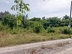 ขายที่ดินเปล่า 100 ตารางวา ตำบลหินเหล็กไฟ อำเภอหัวหิน จังหวัดประจวบคีรีขันธ์ โฉนดครุฑแดง พร้อมโอนทันที-202512011042481764560568425.jpg