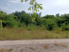 ขายที่ดินเปล่า 100 ตารางวา ตำบลหินเหล็กไฟ อำเภอหัวหิน จังหวัดประจวบคีรีขันธ์ โฉนดครุฑแดง พร้อมโอนทันที-202512011042491764560569004.jpg