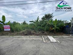 ขายที่ดินเปล่าถมแล้ว ถนนรังสิต-นครนายก 33 คลอง 2 ธัญบุรี (N.1879)-202512011116011764562561917.jpg