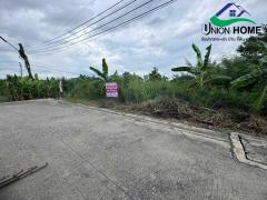 ขายที่ดินเปล่าถมแล้ว ถนนรังสิต-นครนายก 33 คลอง 2 ธัญบุรี (N.1879)-202512011116021764562562514.jpg