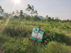 ขายที่ดินเปล่า 72 ตารางวา ตำบลนายาง อำเภอชะอำ จังหวัดเพชรบุรี โอกาสทองสำหรับคนมองหาที่ดินทำเลดี