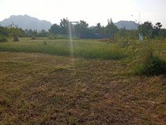 ขายที่ดินเปล่า 72 ตารางวา ตำบลนายาง อำเภอชะอำ จังหวัดเพชรบุรี โอกาสทองสำหรับคนมองหาที่ดินทำเลดี-202512011129051764563345762.jpg