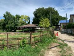 ขายที่ดินเปล่า พญาเย็น ปากช่อง นครราชสีมา จำนวน 14 ไร่ หน้ากว้าง 146 ยาว 241 เมตร ใกล้รีสอร์ท คาเฟ่ และแหล่งท่องเที่ยวมากมาย