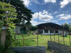 ขายที่ดินเปล่า พญาเย็น ปากช่อง นครราชสีมา จำนวน 14 ไร่ หน้ากว้าง 146 ยาว 241 เมตร ใกล้รีสอร์ท คาเฟ่ และแหล่งท่องเที่ยวมากมาย-202512011136431764563803424.jpg