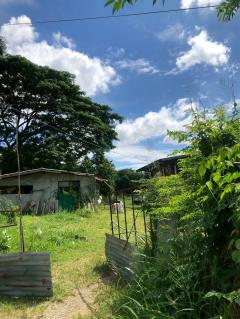 ขายที่ดินเปล่า พญาเย็น ปากช่อง นครราชสีมา จำนวน 14 ไร่ หน้ากว้าง 146 ยาว 241 เมตร ใกล้รีสอร์ท คาเฟ่ และแหล่งท่องเที่ยวมากมาย-202512011136441764563804088.jpg