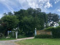 ขายที่ดินเปล่า พญาเย็น ปากช่อง นครราชสีมา จำนวน 14 ไร่ หน้ากว้าง 146 ยาว 241 เมตร ใกล้รีสอร์ท คาเฟ่ และแหล่งท่องเที่ยวมากมาย-202512011136441764563804798.jpg