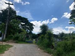 ขายที่ดินเปล่า พญาเย็น ปากช่อง นครราชสีมา จำนวน 14 ไร่ หน้ากว้าง 146 ยาว 241 เมตร ใกล้รีสอร์ท คาเฟ่ และแหล่งท่องเที่ยวมากมาย-202512011136451764563805422.jpg