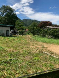 ขายที่ดินเปล่า พญาเย็น ปากช่อง นครราชสีมา จำนวน 14 ไร่ หน้ากว้าง 146 ยาว 241 เมตร ใกล้รีสอร์ท คาเฟ่ และแหล่งท่องเที่ยวมากมาย-202512011136461764563806660.jpg