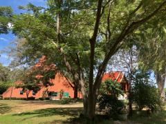 ขายที่ดินเปล่า พญาเย็น ปากช่อง นครราชสีมา จำนวน 14 ไร่ หน้ากว้าง 146 ยาว 241 เมตร ใกล้รีสอร์ท คาเฟ่ และแหล่งท่องเที่ยวมากมาย-202512011136471764563807359.jpg