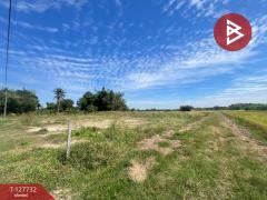 ขายที่ดิน เนื้อที่ 2 ไร่ เกาะจันทร์ ชลบุรี