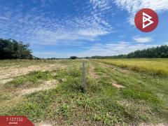 ขายที่ดิน เนื้อที่ 2 ไร่ เกาะจันทร์ ชลบุรี-202512011239091764567549112.jpg