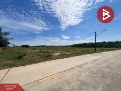 ขายที่ดิน เนื้อที่ 2 ไร่ เกาะจันทร์ ชลบุรี-202512011239101764567550301.jpg